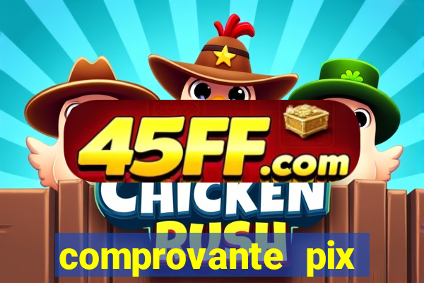 comprovante pix fake meme